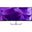 34.1" (86,61cm) Dell Pro 34 Plus P3425WE schwarz/silber