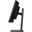 34" (86,36cm) iiyama ProLite XCB3497WQSNP-B1 schwarz 3440x1440