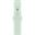 Apple 40MM AQUAMARINE SPORT BAND - M/L