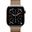 Apple Watch S11 2025 Titan Gold Cellular 42mm (Milanaise Armband gold)