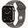 Apple Watch S11 2025 Titan Natur Cellular 42mm (Sportarmband