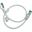 (&euro;7,80*/1m) 0.50m Lanberg Cat. 7 Patchkabel S/FTP RJ45 Stecker