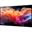 50" (127,00cm) Sharp NEC MultiSync E509 schwarz 3840x2160