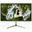 24" (60,96cm) Arozzi Nova 24T1K200 gr&uuml;n 1920x1080