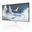 24" (60,96cm) Arozzi Nova 24T1K200 weiss 1920x1080 1xDisplayPort
