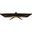 31.5" (80,01cm) Arozzi Nova 32T2K180 schwarz 2560x1440