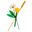 LEGO Botanicals 30701 Feldblumen