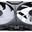 140x140x25mm Phanteks M25 Gen2 PWM D-RGB L&uuml;fter, 3er-Pack -