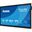 65" (165,10cm) iiyama ProLite TE6515A-B2AG schwarz 3840x2160 1x