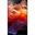 55" (139,70cm) Sharp MultiSync E559 schwarz 3840x2160 1xVGA /