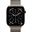 APPLE 46MM NATURAL MILANESELOOP M/L