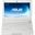 Notebook 10,1" (25,65cm) Asus Eee PC X101CH-WHI028S N2600/1024MB