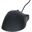 Razer DeathAdder 2013 USB schwarz (kabelgebunden)