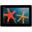 10.1" (25,65cm) Asus MeMO Pad FHD 10 LTE/WiFi/UMTS/HSPA/Miracast